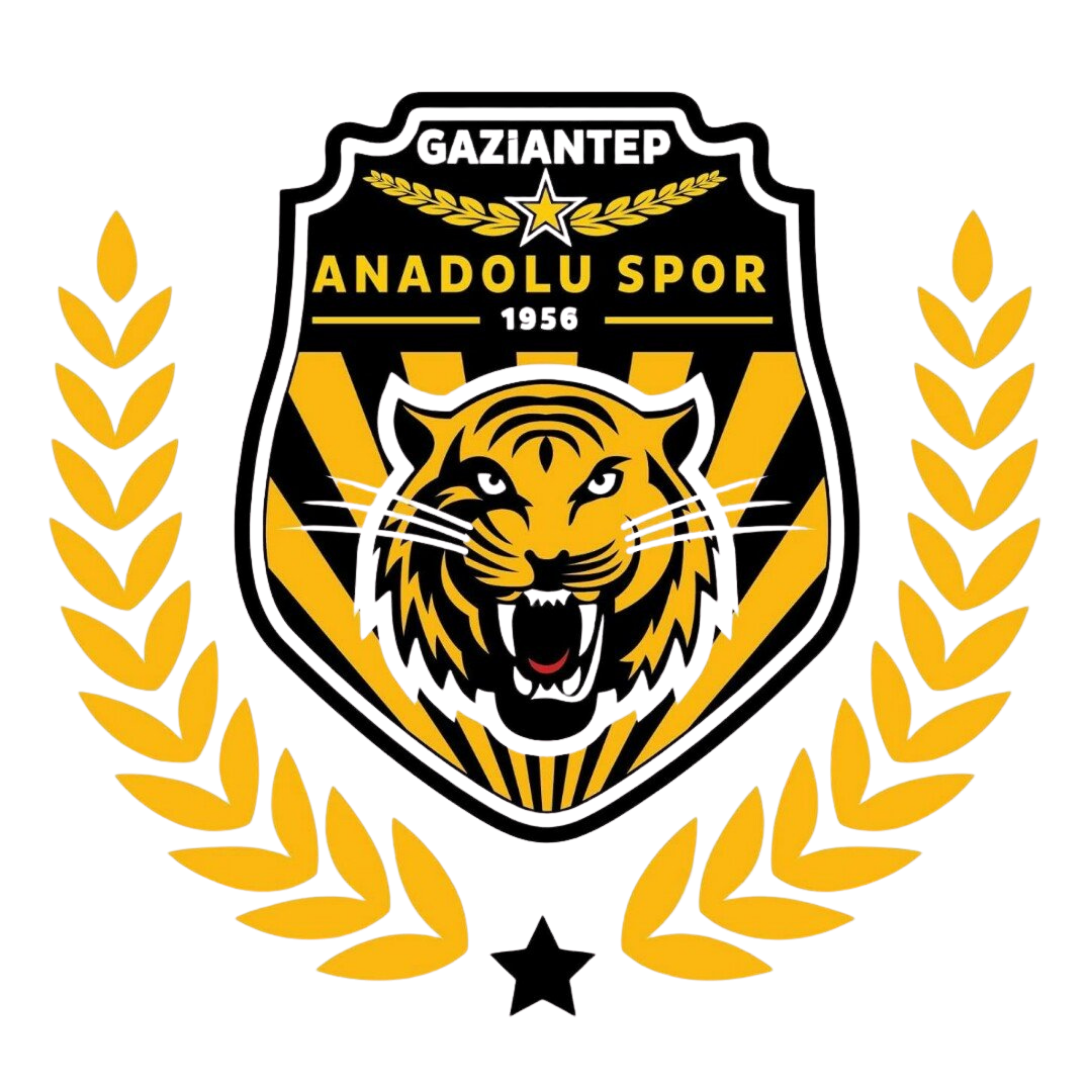 GAZiANTEP ANADOLU SPOR